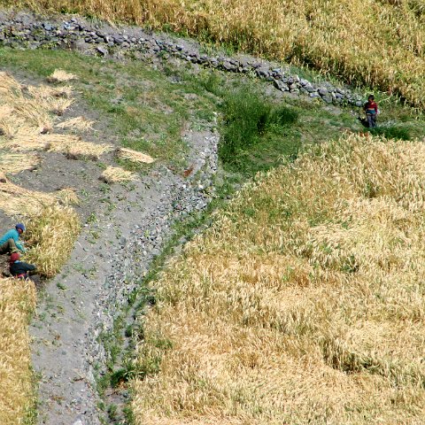 img11223  Journey through Ladakh India 2004
