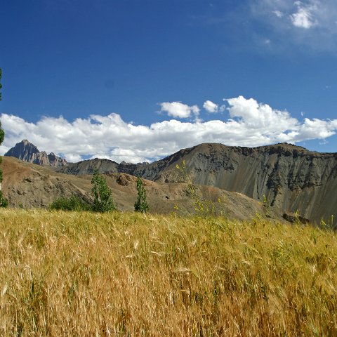 img11279  Journey through Ladakh India 2004