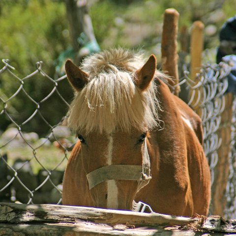 img11482  Journey through Ladakh India 2004