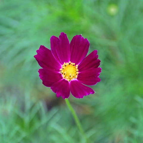 img08749  Journey through Ladakh India 2004