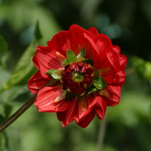 img08764  Journey through Ladakh India 2004