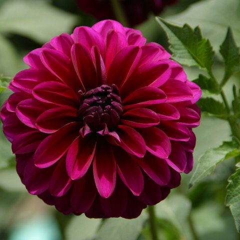 img08774  Journey through Ladakh India 2004