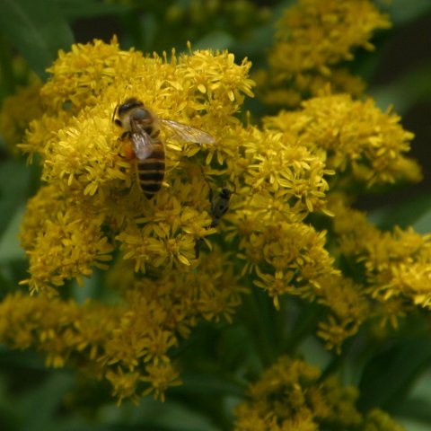 img08780  Journey through Ladakh India 2004