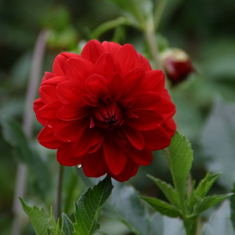 img08915  Journey through Ladakh India 2004