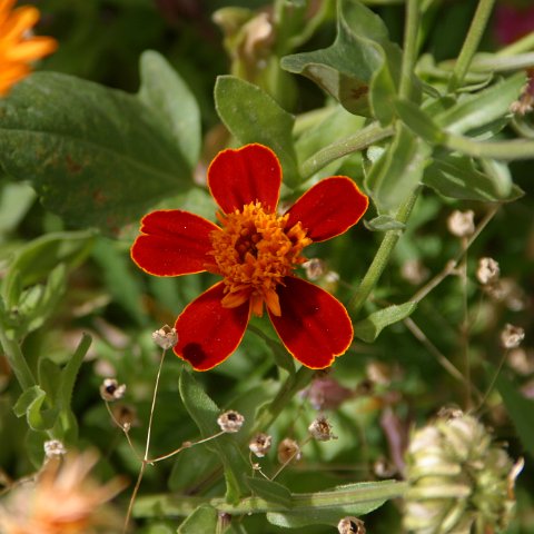 img09858  Journey through Ladakh India 2004