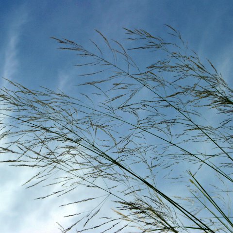 img11889  Journey through Ladakh India 2004