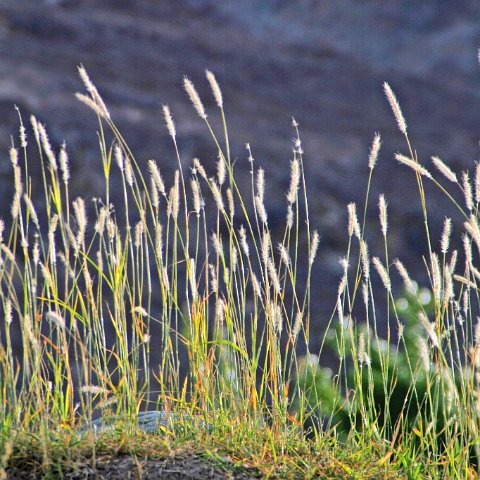 img11891  Journey through Ladakh India 2004