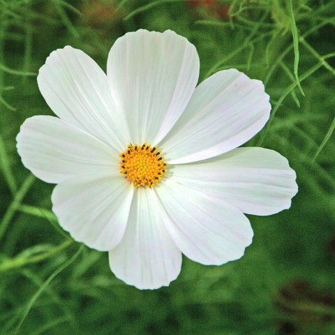 img11959  Journey through Ladakh India 2004