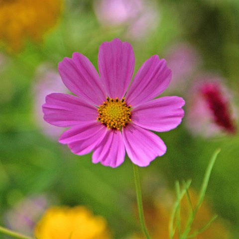 img11960  Journey through Ladakh India 2004