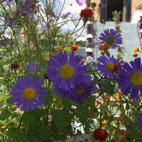 img12271  Journey through Ladakh India 2004