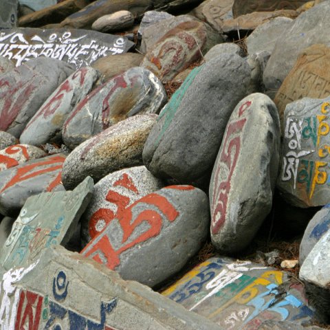 img08901  Reis Ladakh, India 2004 met Stichting Danja, www.danja.nl