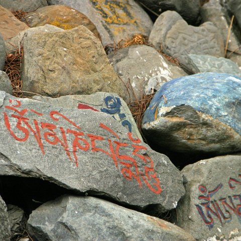 img08902  Reis Ladakh, India 2004 met Stichting Danja, www.danja.nl