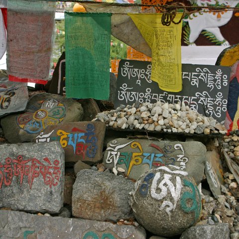 img08903  Reis Ladakh, India 2004 met Stichting Danja, www.danja.nl
