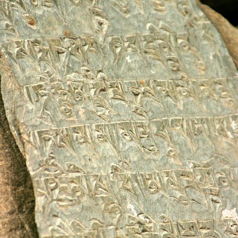 img08906  Reis Ladakh, India 2004 met Stichting Danja, www.danja.nl