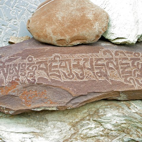 img10412  Reis Ladakh, India 2004 met Stichting Danja, www.danja.nl