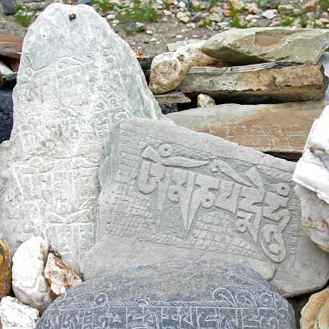 img10413  Reis Ladakh, India 2004 met Stichting Danja, www.danja.nl