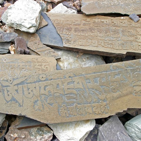 img10415  Reis Ladakh, India 2004 met Stichting Danja, www.danja.nl