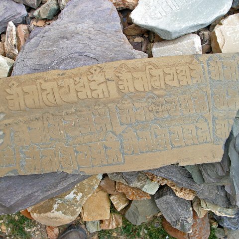 img10416  Reis Ladakh, India 2004 met Stichting Danja, www.danja.nl