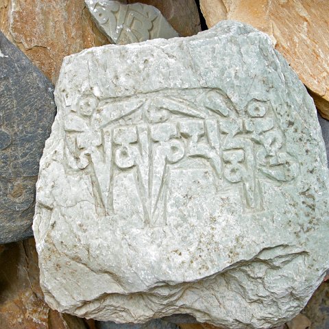 img10419  Reis Ladakh, India 2004 met Stichting Danja, www.danja.nl