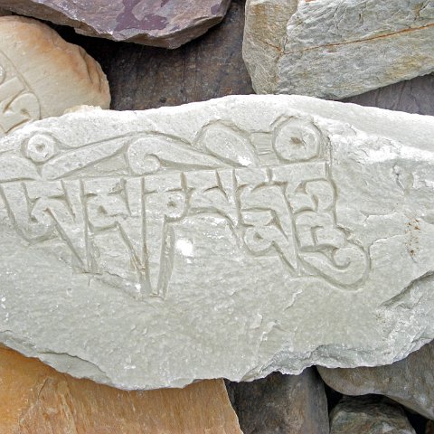 img10420  Reis Ladakh, India 2004 met Stichting Danja, www.danja.nl