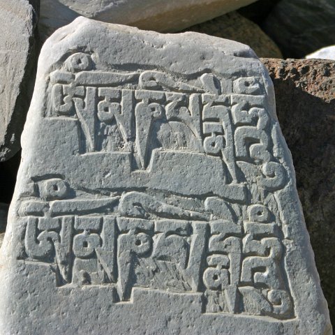 img10546  Reis Ladakh, India 2004 met Stichting Danja, www.danja.nl