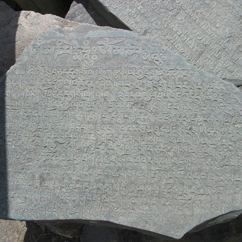 img10918  Reis Ladakh, India 2004 met Stichting Danja, www.danja.nl