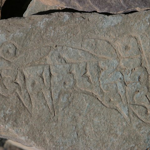 img11065  Reis Ladakh, India 2004 met Stichting Danja, www.danja.nl