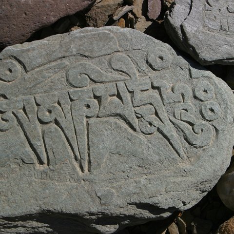 img11069  Reis Ladakh, India 2004 met Stichting Danja, www.danja.nl