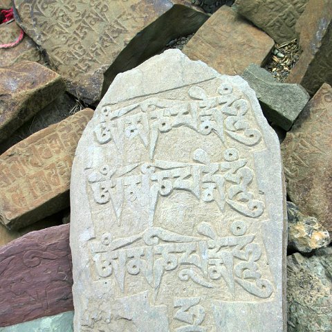 img11105  Reis Ladakh, India 2004 met Stichting Danja, www.danja.nl