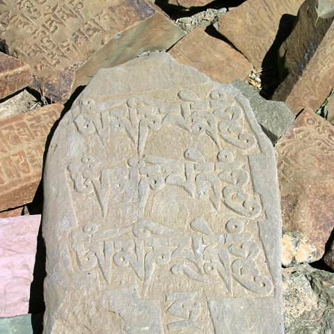 img11257  Reis Ladakh, India 2004 met Stichting Danja, www.danja.nl