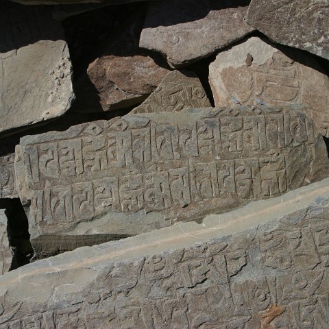 img11276  Reis Ladakh, India 2004 met Stichting Danja, www.danja.nl