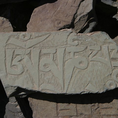 img11277  Reis Ladakh, India 2004 met Stichting Danja, www.danja.nl