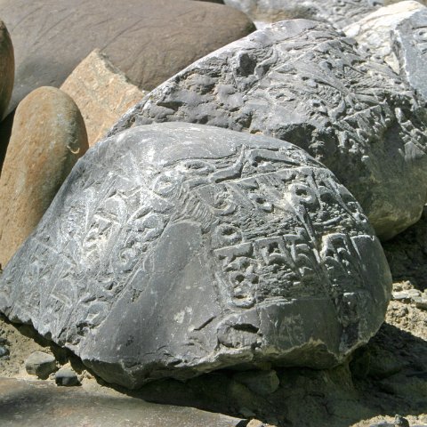 img11489  Reis Ladakh, India 2004 met Stichting Danja, www.danja.nl