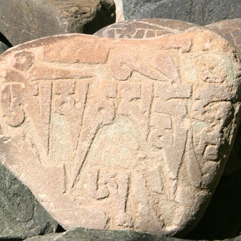 img11490  Reis Ladakh, India 2004 met Stichting Danja, www.danja.nl