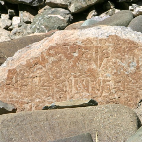 img11491  Reis Ladakh, India 2004 met Stichting Danja, www.danja.nl