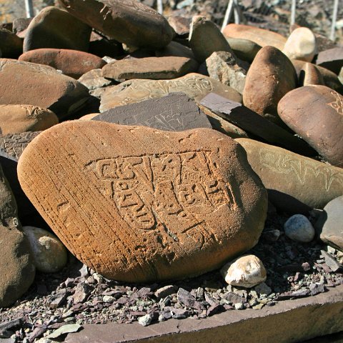 img11789  Reis Ladakh, India 2004 met Stichting Danja, www.danja.nl