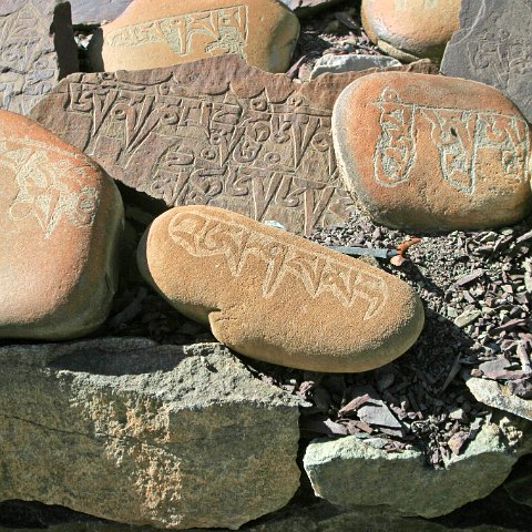 img11790  Reis Ladakh, India 2004 met Stichting Danja, www.danja.nl