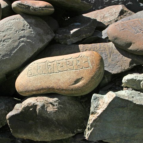 img11791  Reis Ladakh, India 2004 met Stichting Danja, www.danja.nl