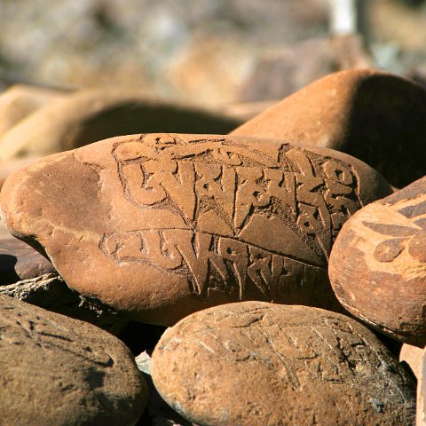 img11792  Reis Ladakh, India 2004 met Stichting Danja, www.danja.nl