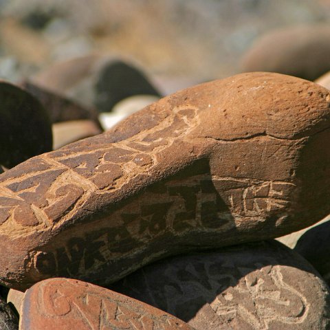 img11793  Reis Ladakh, India 2004 met Stichting Danja, www.danja.nl
