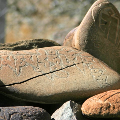 img11794  Reis Ladakh, India 2004 met Stichting Danja, www.danja.nl