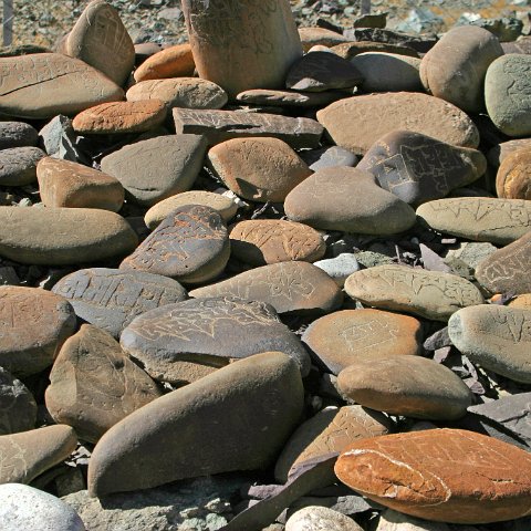 img11796  Reis Ladakh, India 2004 met Stichting Danja, www.danja.nl