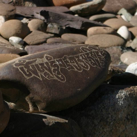 img11802  Reis Ladakh, India 2004 met Stichting Danja, www.danja.nl