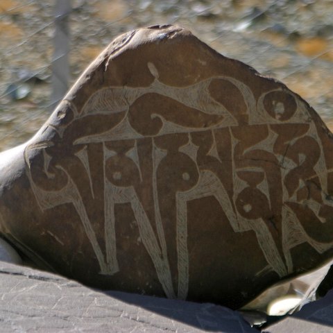 img11803  Reis Ladakh, India 2004 met Stichting Danja, www.danja.nl