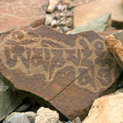 img11980  Reis Ladakh, India 2004 met Stichting Danja, www.danja.nl