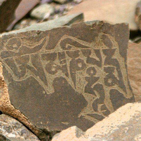 img11981  Reis Ladakh, India 2004 met Stichting Danja, www.danja.nl