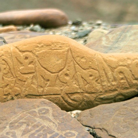 img11982  Reis Ladakh, India 2004 met Stichting Danja, www.danja.nl