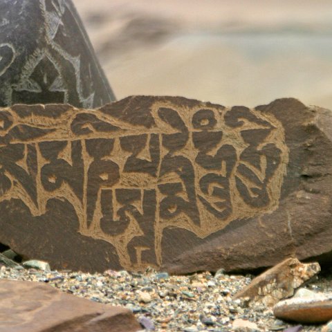 img11983  Reis Ladakh, India 2004 met Stichting Danja, www.danja.nl