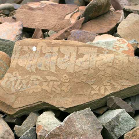 img11985  Reis Ladakh, India 2004 met Stichting Danja, www.danja.nl