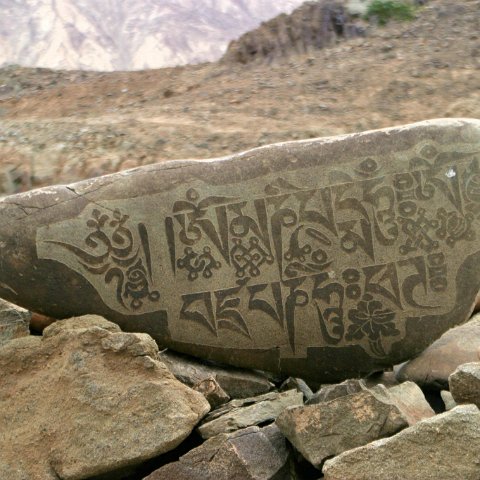 img11987  Reis Ladakh, India 2004 met Stichting Danja, www.danja.nl